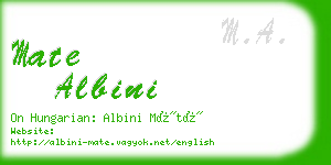 mate albini business card